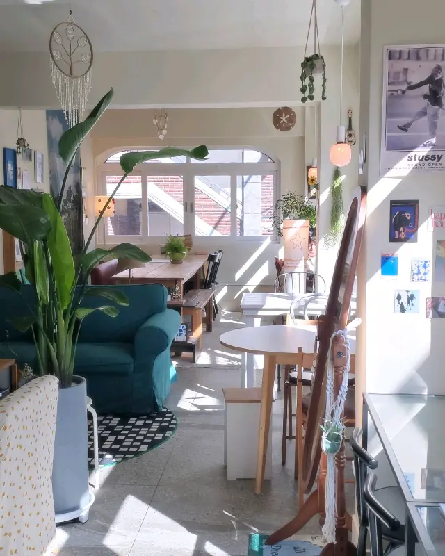 카페 내부, 다양한 식물들이 놓여 있어 싱그러움을 더한다.