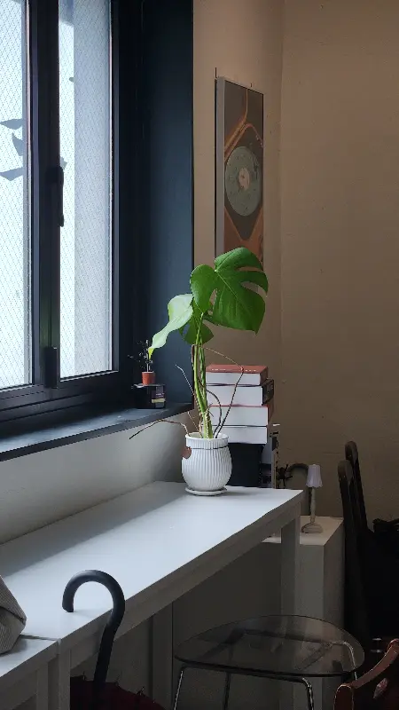 창가 테이블 위 작은 화분