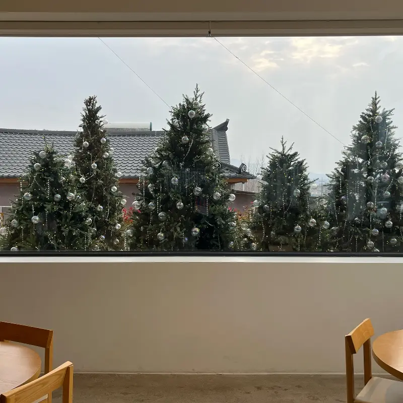 창밖으로 보이는 트리