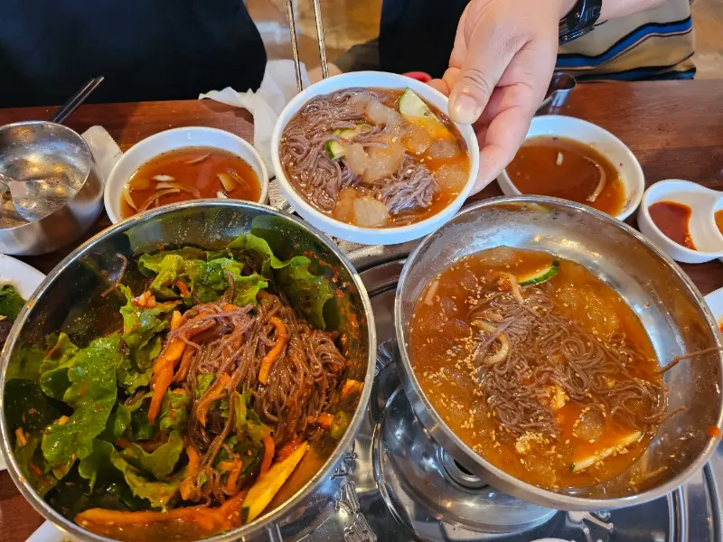 흑미쌀물냉면의 시원한 비주얼