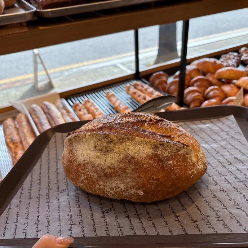 다미베이커리의 깜빠뉴