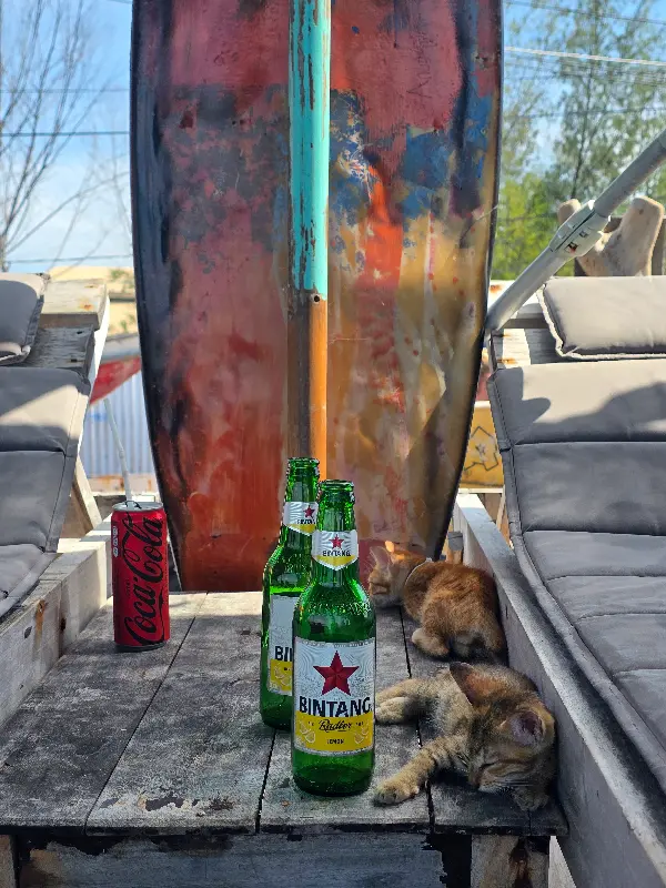 맛있게 먹은 음식 사진