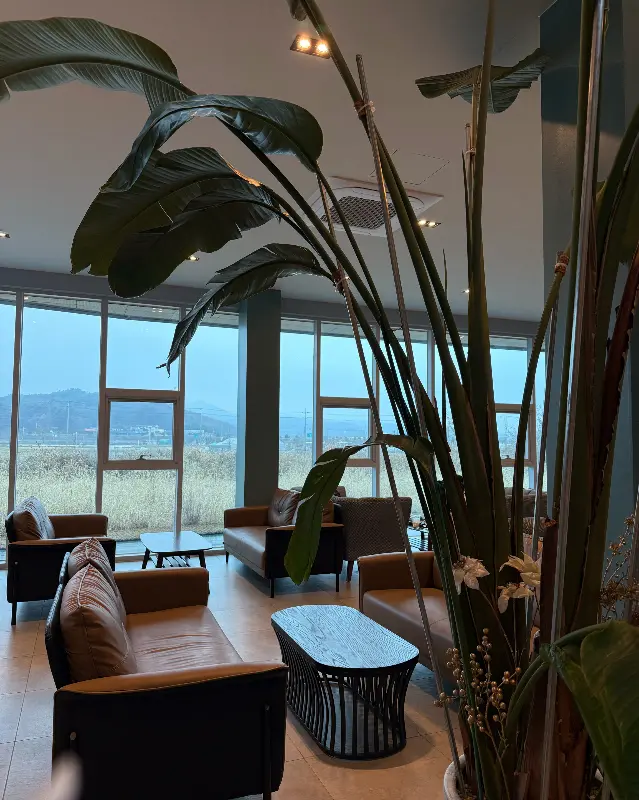 넓은 테이블 간 간격