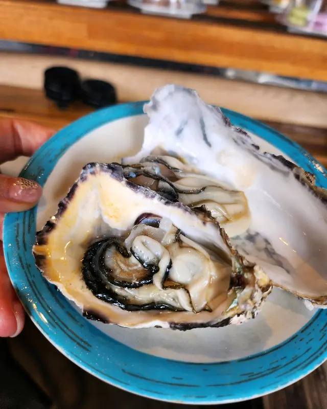 신선한 연어 초밥