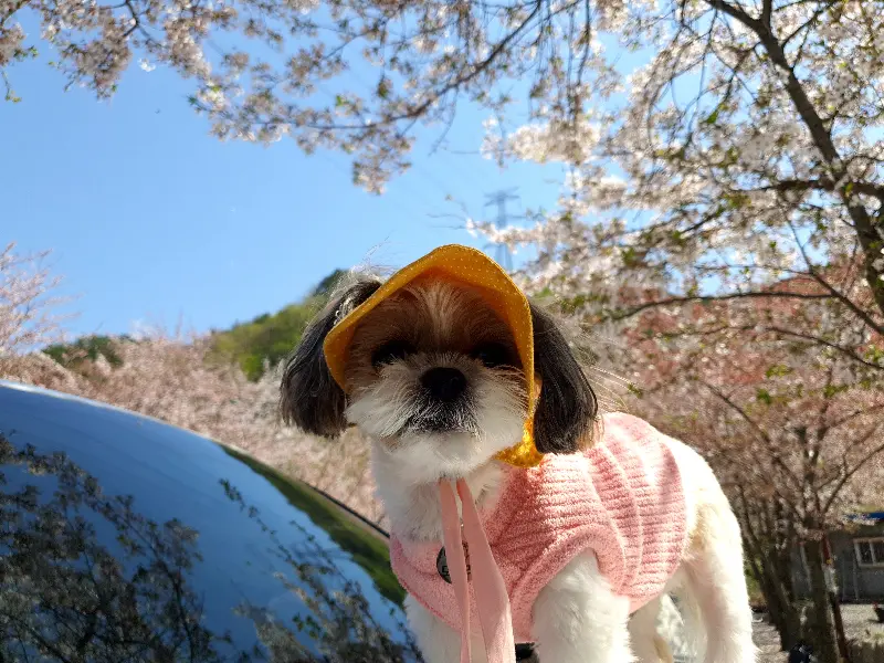 깔끔한 내부 모습