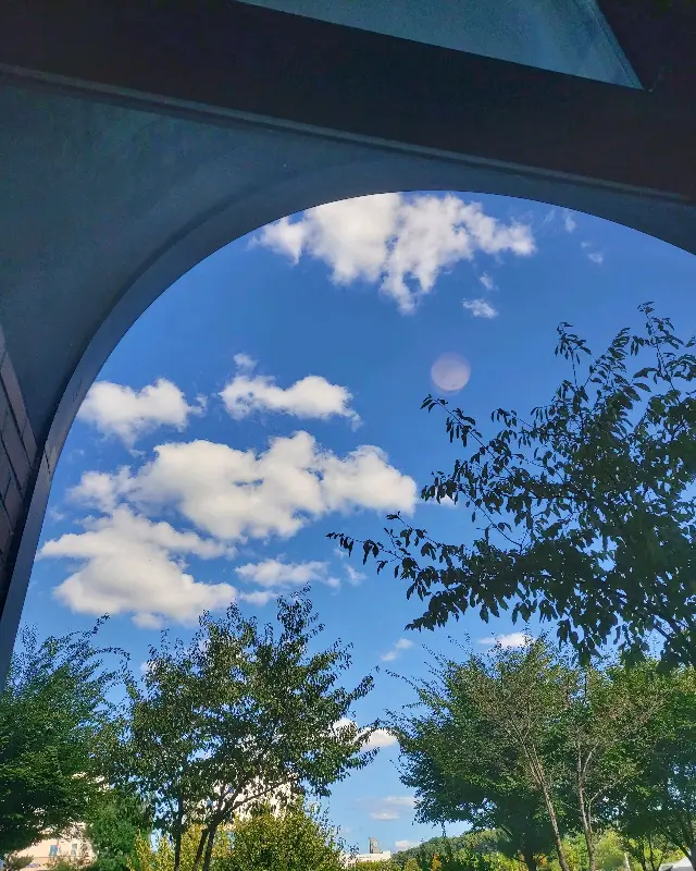 피어몬트에서 올려다본 하늘