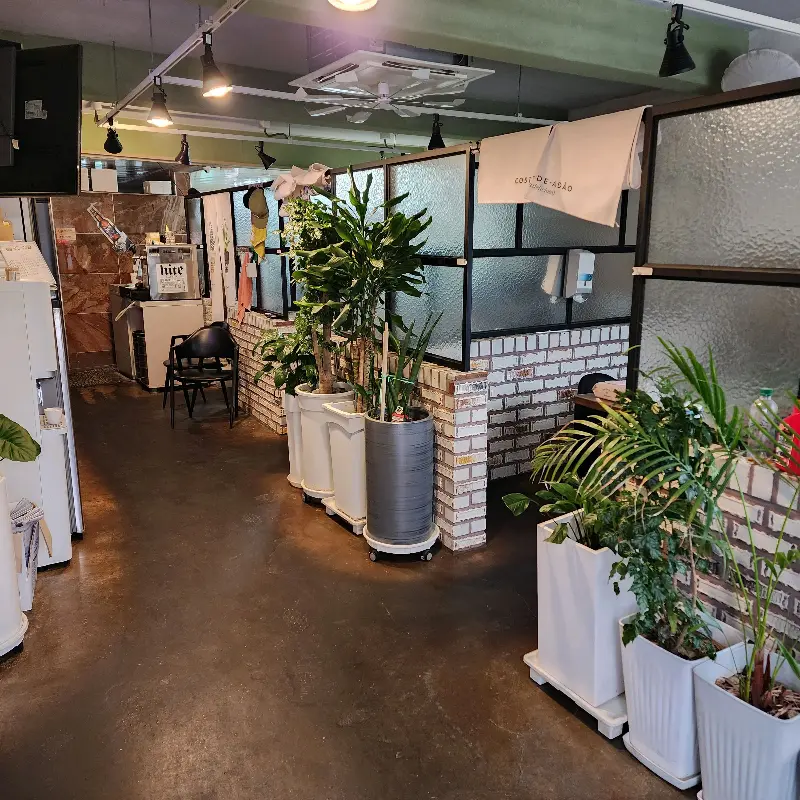 화분으로 꾸며진 실내 인테리어