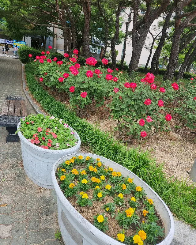 가게 주변 풍경