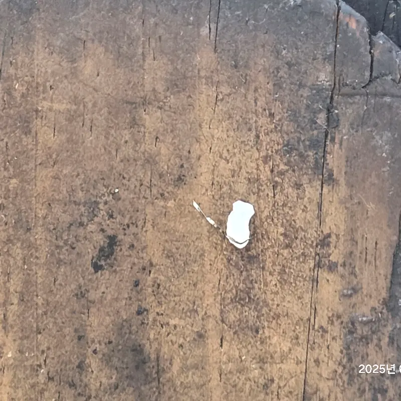 테이블 나무 재질 표면 사진