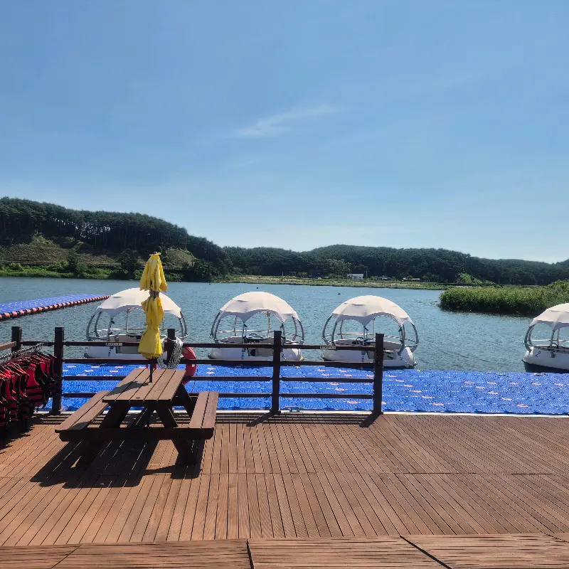 남대천 위 둥둥 떠다니는 보트