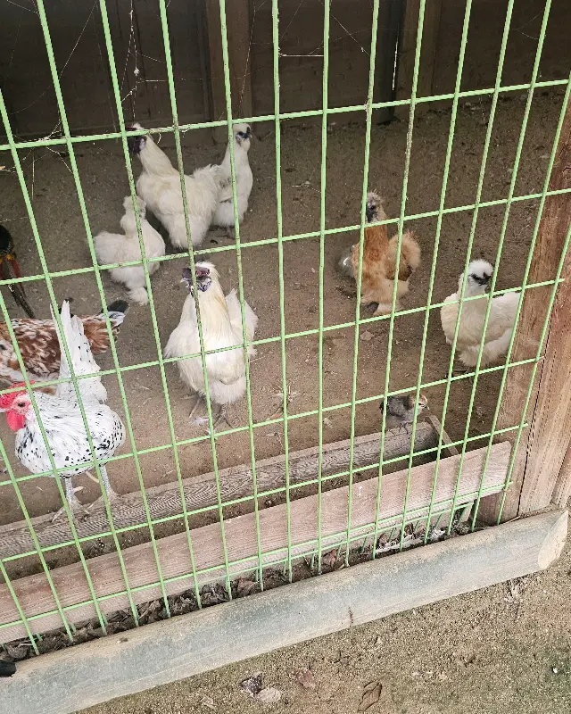 쌈밥과 함께 나온 다양한 반찬들