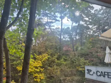 계곡물 소리 ASMR! 우이동 숨겨진 숲속 분위기 맛집 카페백란 방문기