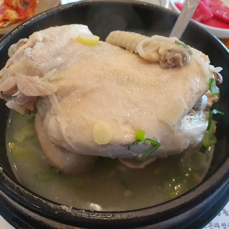 살이 가득한 닭