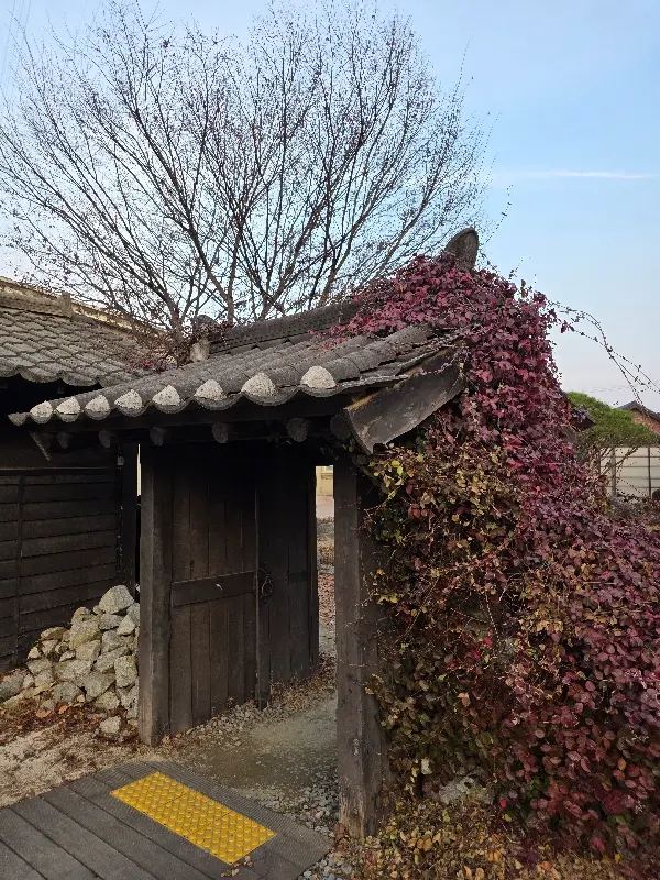 담쟁이 덩굴이 뒤덮인 촌놈국수 입구