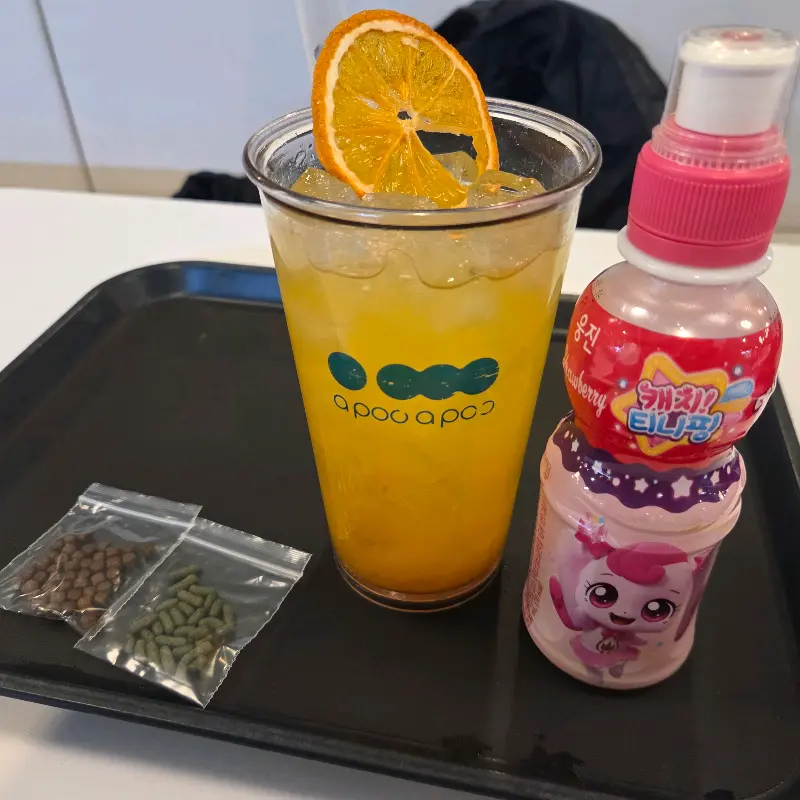 아이스티와 먹이