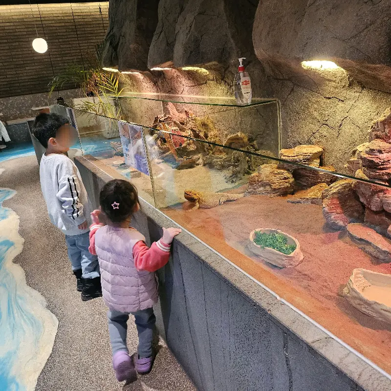 아이들이 동물 구경하는 모습