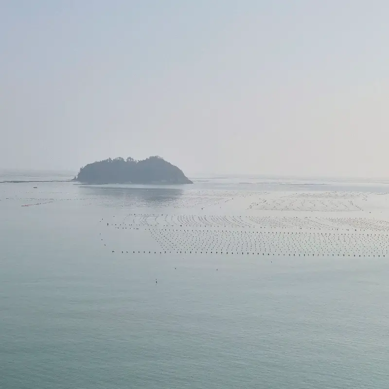 싱싱한 해산물 한 상