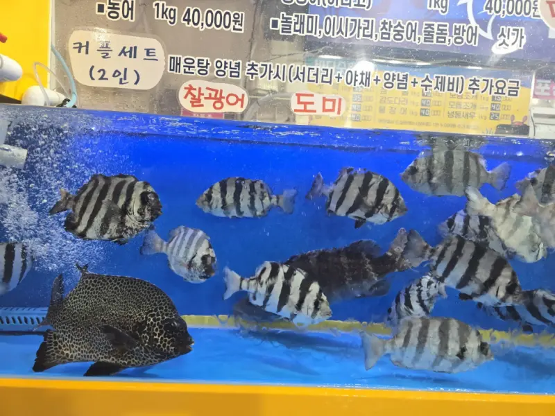 시원하고 깊은 맛이 일품인 조개탕