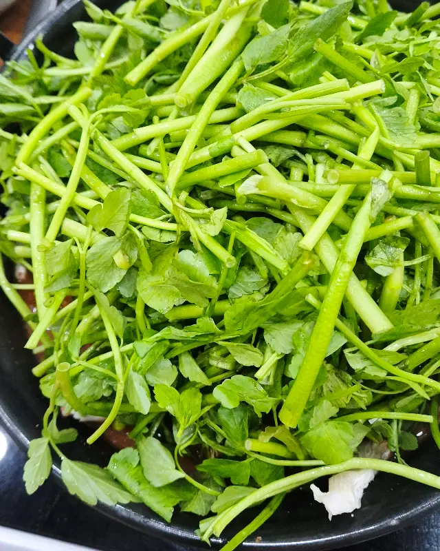 미나리 듬뿍 들어간 샤브샤브 재료