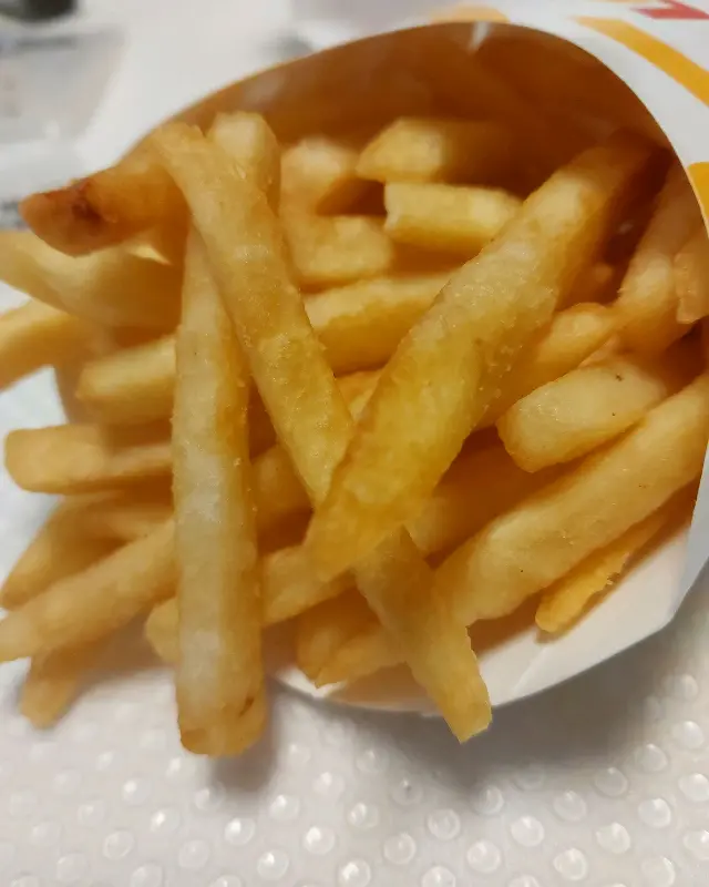 갓 튀겨져 나온 감자튀김
