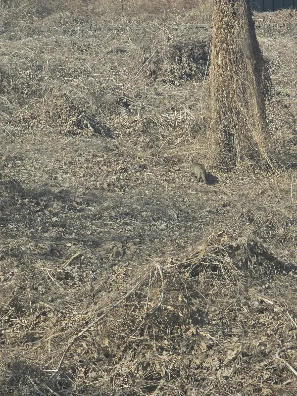 소리마을 주변 풍경