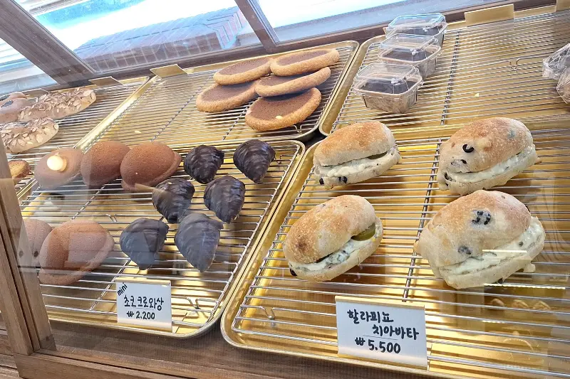 다양한 빵 종류