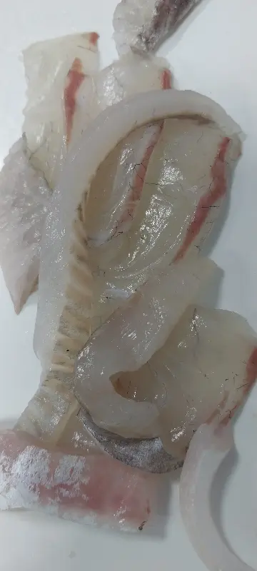 바다사랑횟집의 맛있는 회