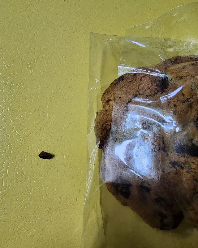 두바이 쫀득 쿠키