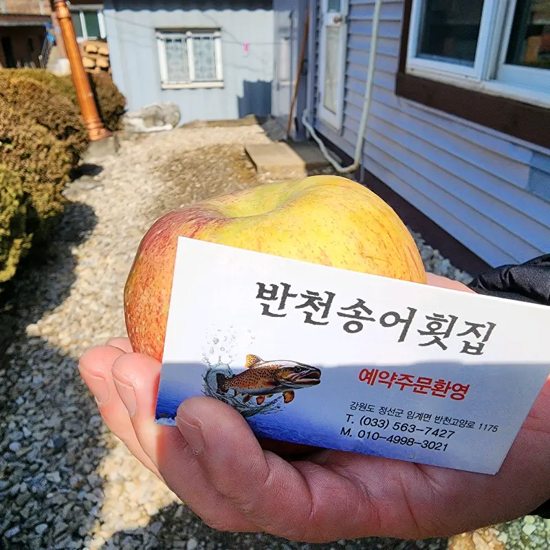 반천송어횟집 명함과 사과