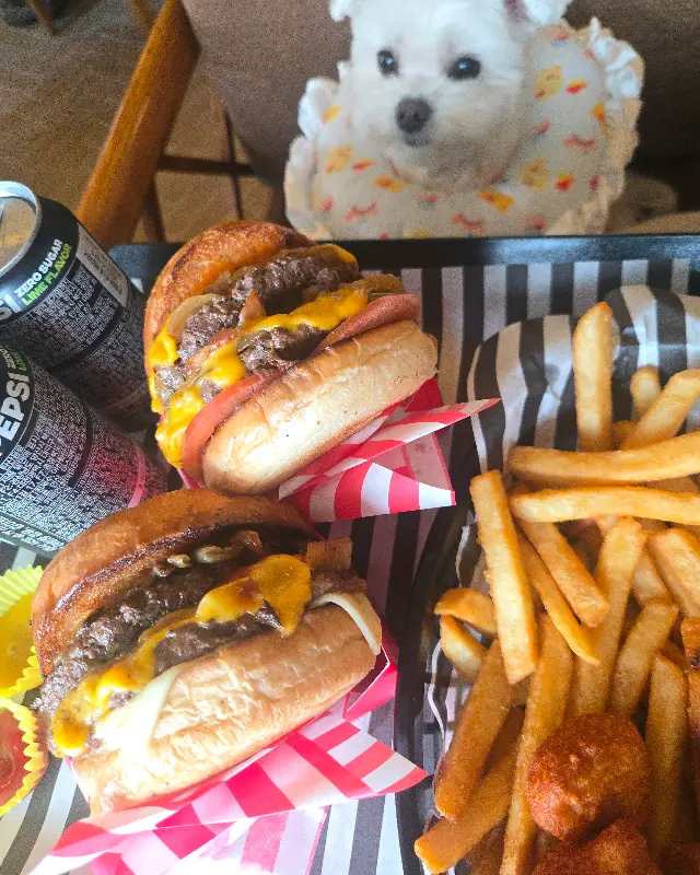 수제버거와 감자튀김