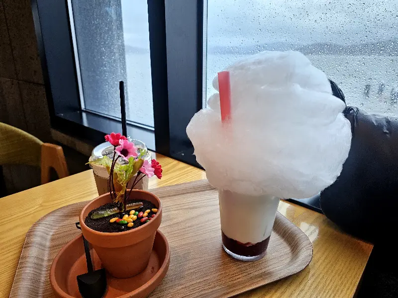 비오는 날의 구름 라떼와 화분 아이스크림