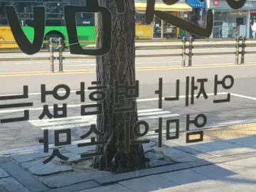 인왕산 자락, 추억을 소환하는 연희동 김밥 맛집 기행