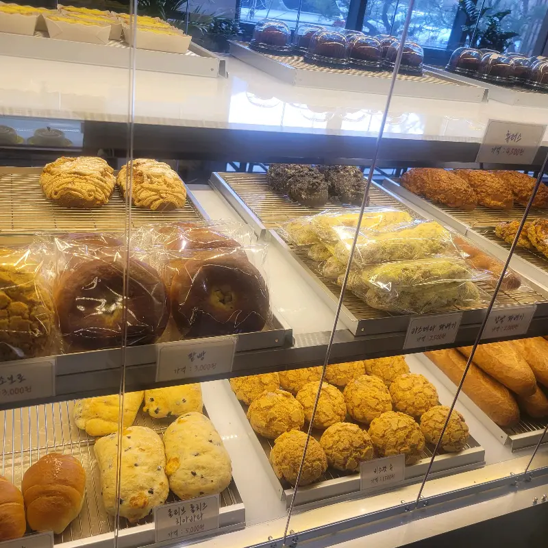 다양한 빵 종류