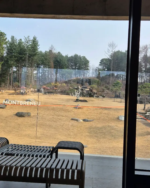 카페에서 바라본 정원 풍경