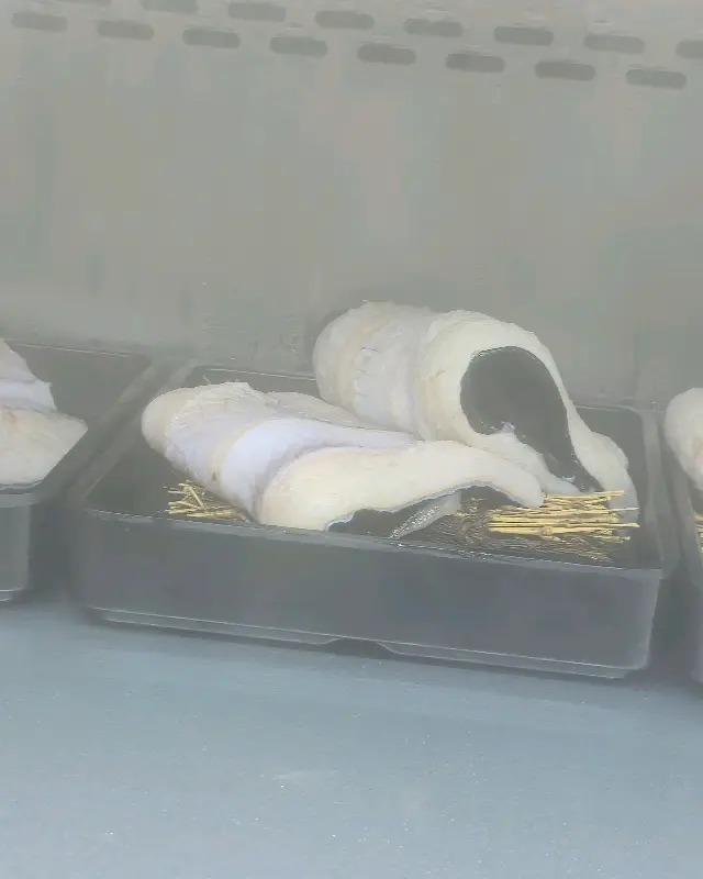 신선한 장어 보관 냉장고