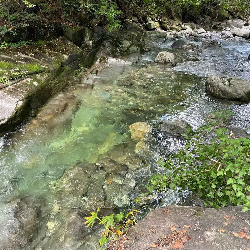 맑고 깨끗한 계곡