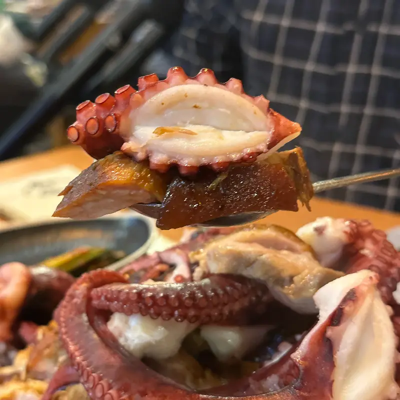 탱글탱글 신선한 문어