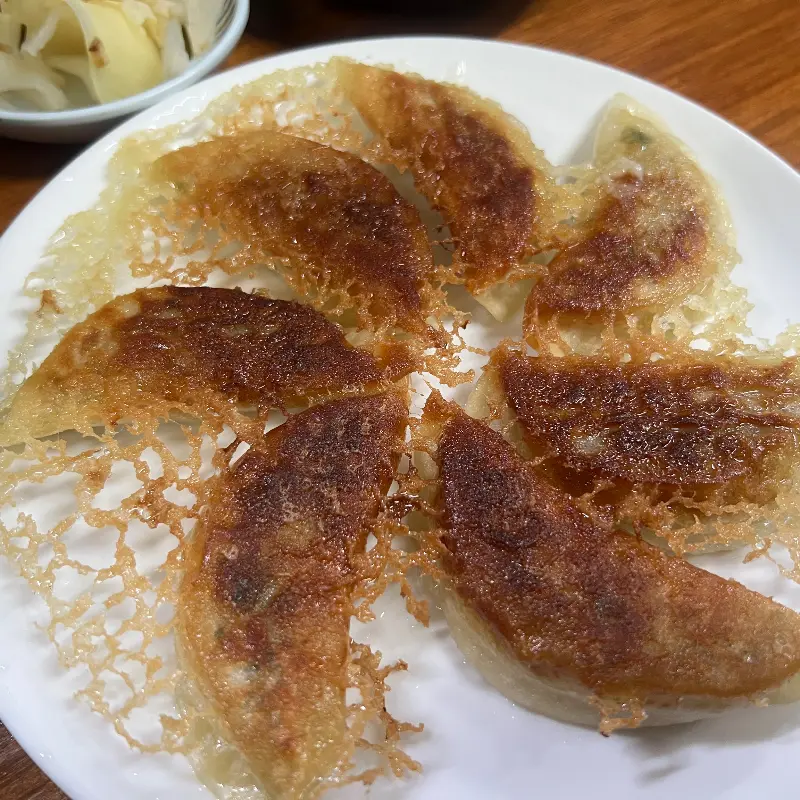 노릇노릇 구워진 교자