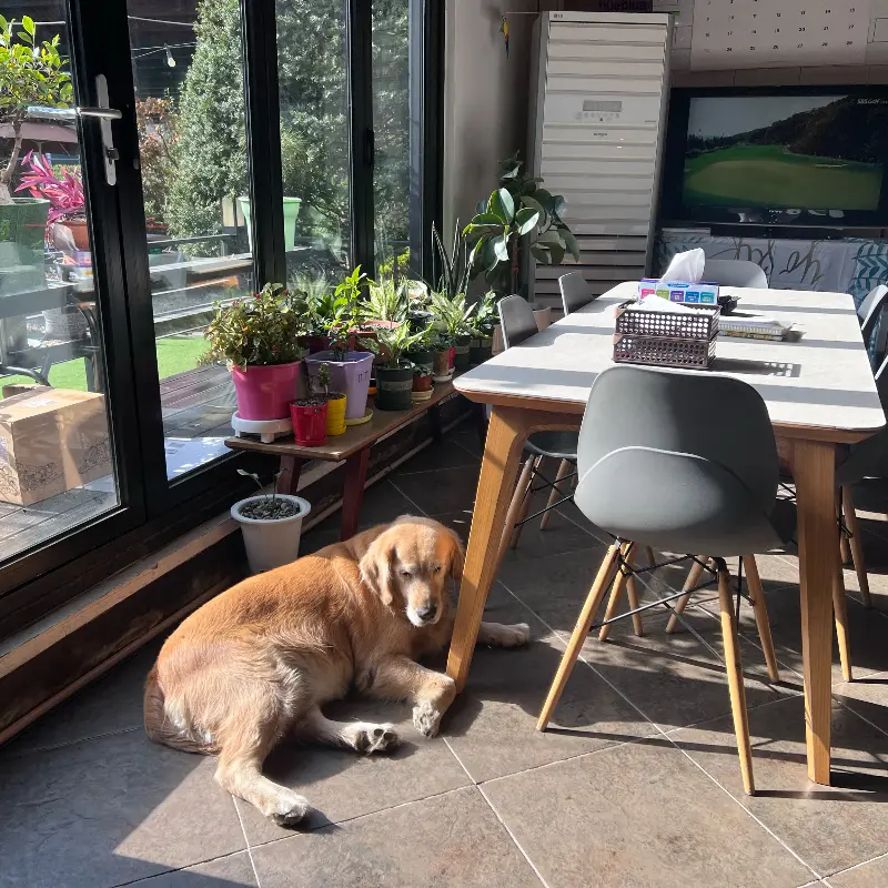 매장 내부 풍경