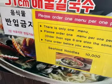 해운대에서 펼쳐지는 미식 실험, 31cm 해물칼국수에서 찾아낸 부산 맛집의 과학