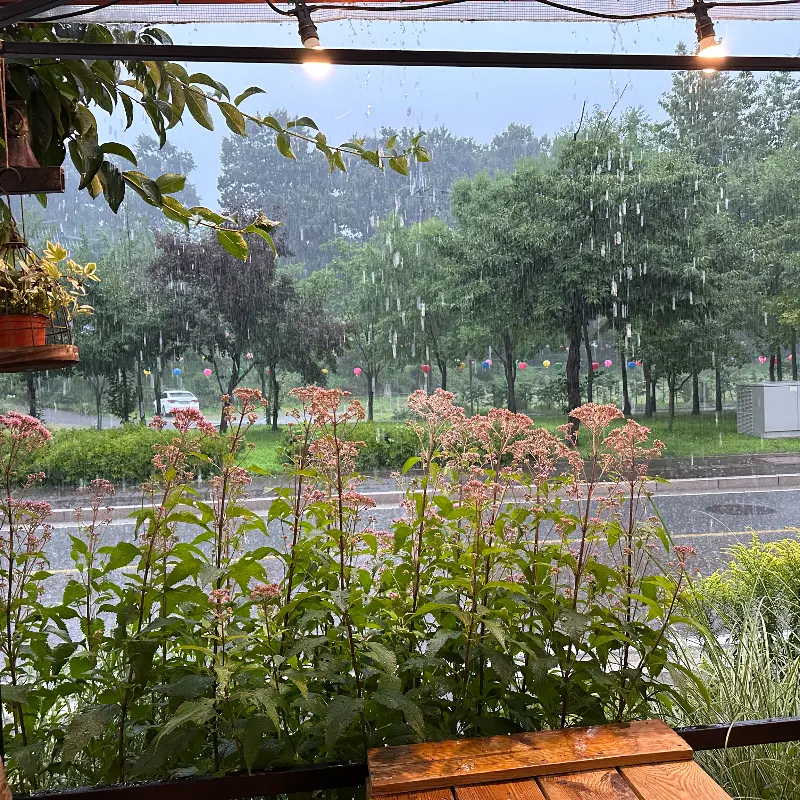 카페 창밖으로 보이는 정원 풍경