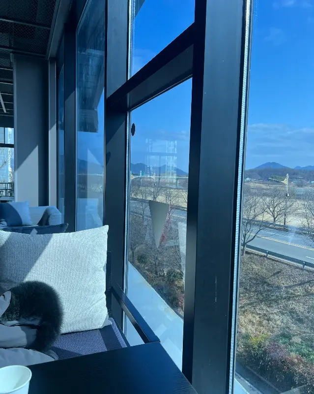 카페 내부의 모습. 테이블과 의자가 넓게 배치되어 있고, 은은한 조명이 따뜻한 분위기를 연출한다.