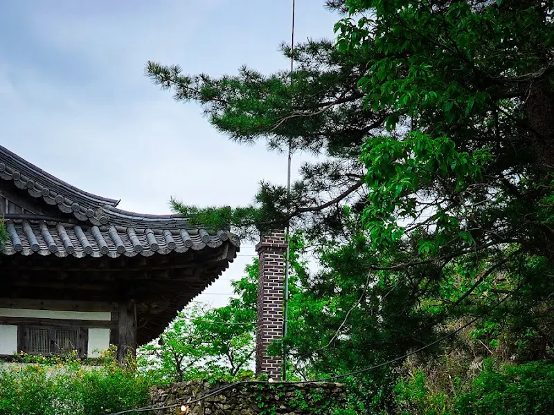 한옥의 기와 지붕과 주변의 푸른 나무