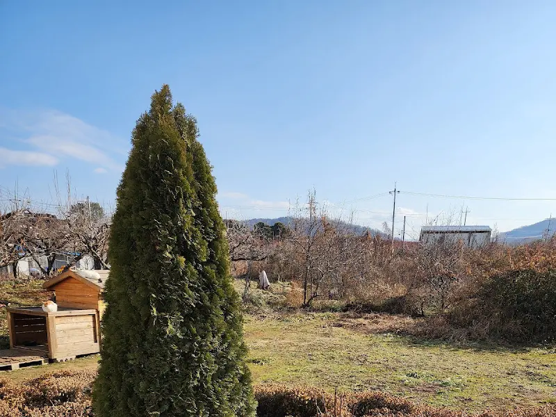 넓은 잔디밭과 나무