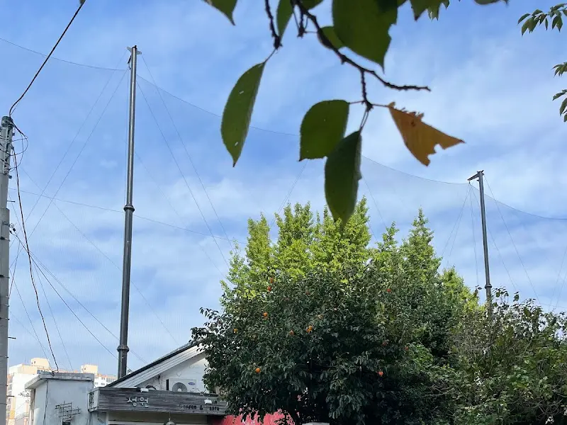 데스파시오 주변 풍경