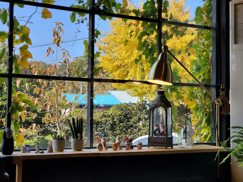 따뜻한 햇살이 들어오는 창가 자리