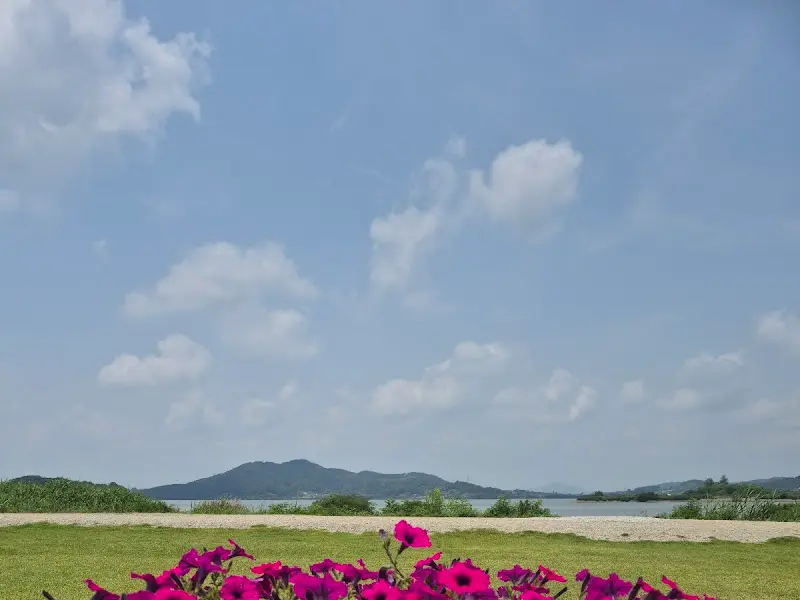 잔디밭에 핀 꽃들