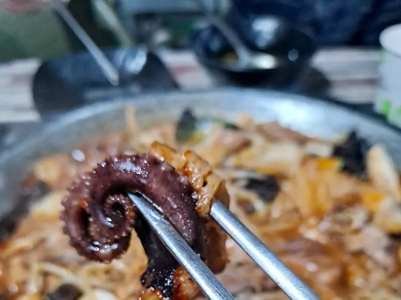 탱글탱글한 쭈꾸미