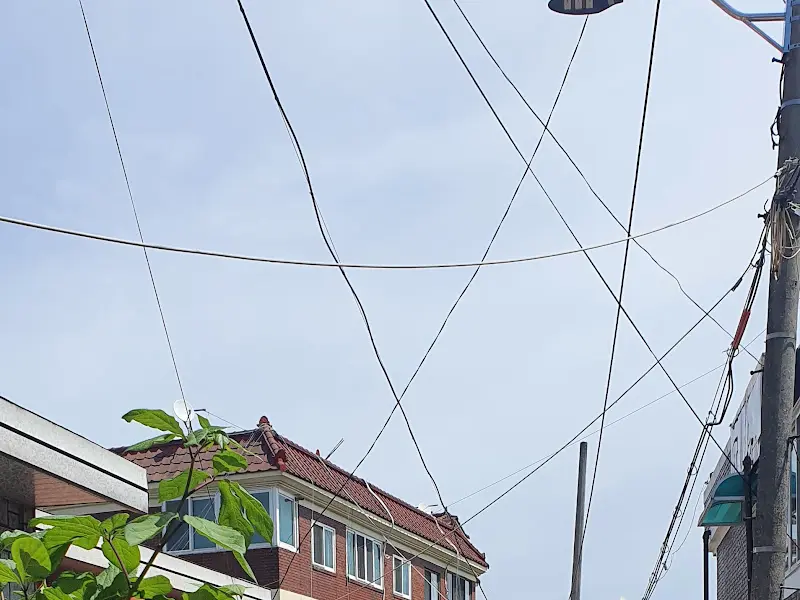 전깃줄이 가득한 골목길 풍경