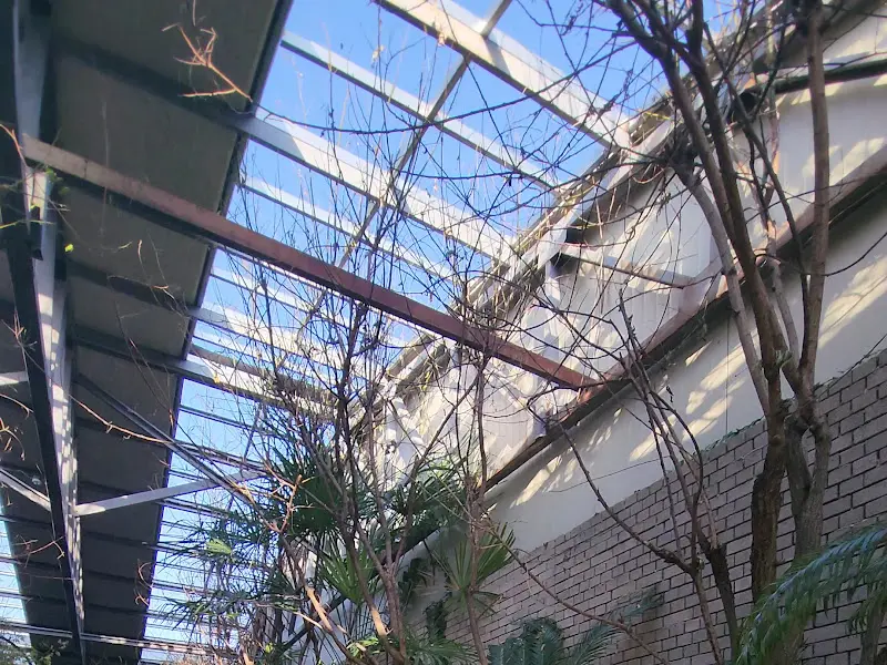 카페 내부의 천장과 식물이 조화롭게 어우러진 모습